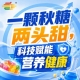 金秋南京，第115届秋季糖酒会，食饮新机遇，抢占先机